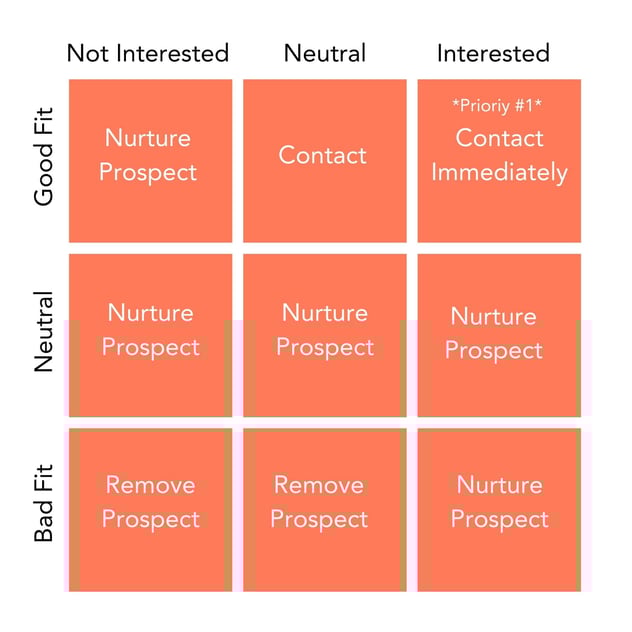 Sales matrix for prioritizing prospects